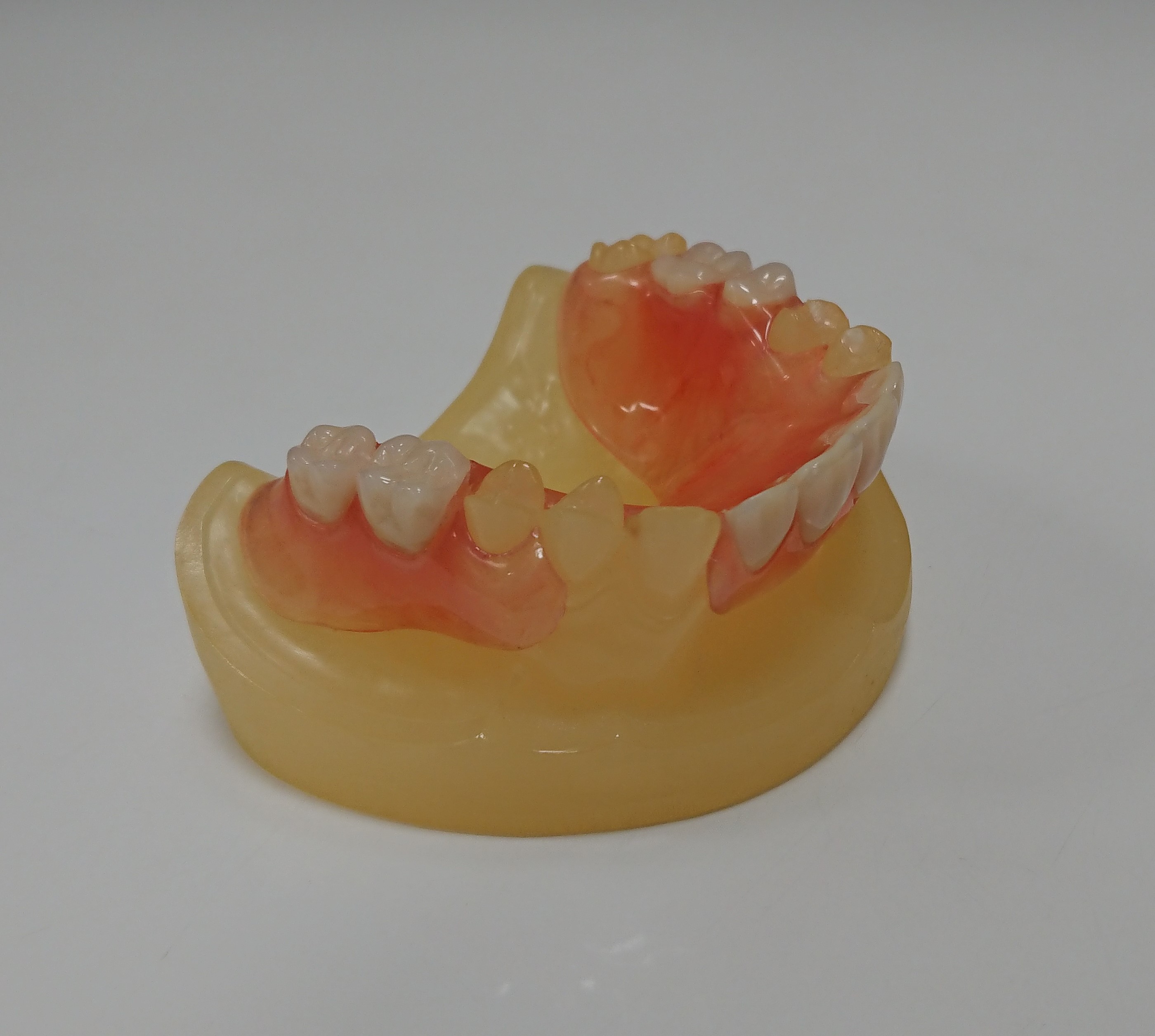 おすすめポイント